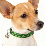 Lucky St Patrick Cat Collar with Bell Festive Holiday Pet Accessory - GreenFur