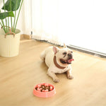 Luxury Eat Ease Pet Food Slow Feeder Bowl - GreenFur