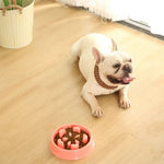 Luxury Eat Ease Pet Food Slow Feeder Bowl - GreenFur