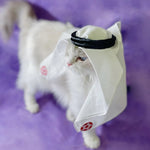 Luxury Handmade Saudi Style Pet Headscarf Hat for Cats - GreenFur