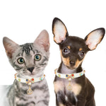 Luxury Rhinestone Cat Collar with Bow Charm – Adjustable Glitter Pet Necklace - GreenFur
