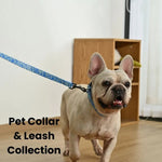 M Size Luxury Easy Cleaning Wear - Resistant Waterproof Pet Dog Leash - GreenFur