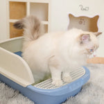 M Size Open Top Cat Litter Box High Side Cat Sand Box with Litter Scoop - GreenFur
