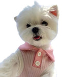Macaron Color Contrast Collar Casual T Shirt for Dogs - GreenFur