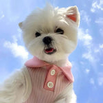 Macaron Color Contrast Collar Casual T Shirt for Dogs - GreenFur