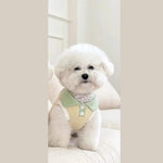 Macaron Color Contrast Collar Casual T Shirt for Dogs - GreenFur