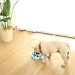 Maze Design Pet Slow Feeder Bowl - GreenFur