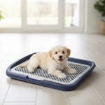 Medium Pet Training Pads Holder Dog Puppy Mesh Training Toilet Potty Tray - GreenFur