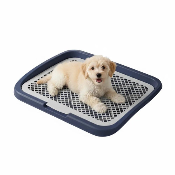 Medium Pet Training Pads Holder Dog Puppy Mesh Training Toilet Potty Tray - GreenFur
