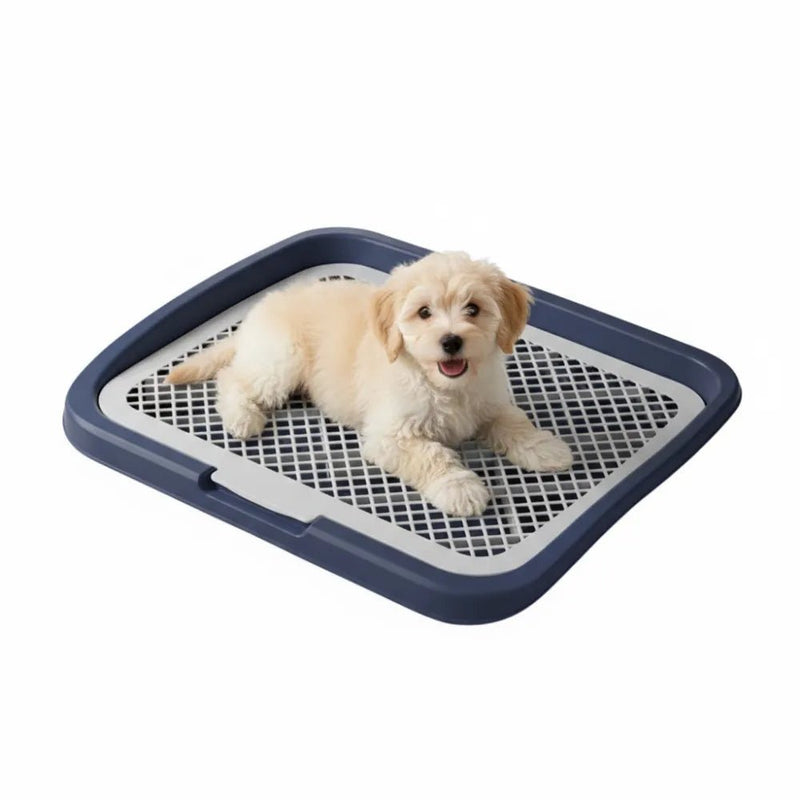 Medium Pet Training Pads Holder Dog Puppy Mesh Training Toilet Potty Tray - GreenFur