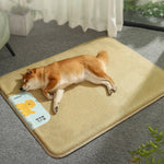 Medium Size Breathable Bed for Cats and Small Dogs - GreenFur