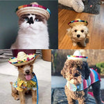 Mexican Hat Halloween and Birthday Party Hat for Dog and Cat - GreenFur