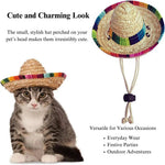 Mexican Hat Halloween and Birthday Party Hat for Dog and Cat - GreenFur