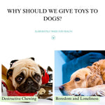 Molar Corn Sound - making Toy For Dogs - GreenFur