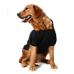 Multi - color Fashionable Pet Hoodie for Large Pets - GreenFur
