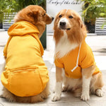 Multi - color Zip Pocket Sweatshirt Hoodie for Small, Medium and Large Dogs - GreenFur