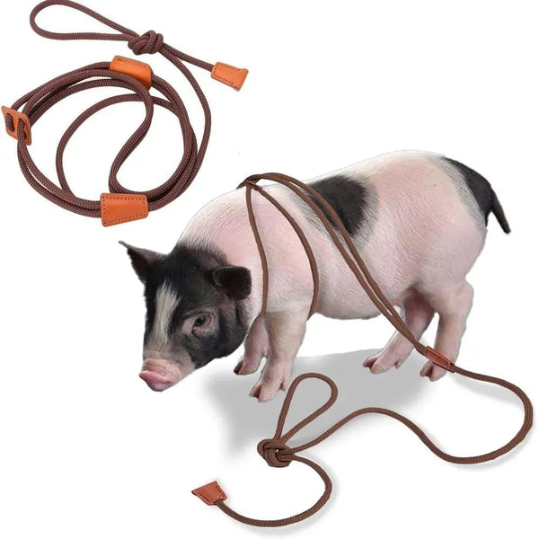 Multi - purpose Escape Resistant Design Mini Pig Harness and Leash, 56“ - GreenFur