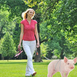 Multi - purpose Escape Resistant Design Mini Pig Harness and Leash, 56“ - GreenFur