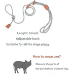 Multi - purpose Escape Resistant Design Mini Pig Harness and Leash, 56“ - GreenFur