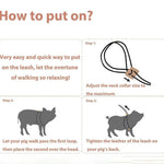 Multi - purpose Escape Resistant Design Mini Pig Harness and Leash, 56“ - GreenFur