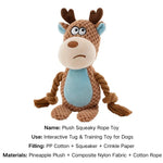 Multi - Sensory Dog Chew Toy - GreenFur