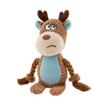 Multi - Sensory Dog Chew Toy - GreenFur