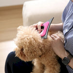 Multifunctional Pet Hair Remover for Furniture and Cloth - GreenFur