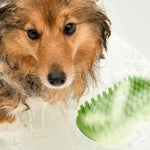 Multipurpose Green 4 Point Bristles Massage Pet Bath Brush - GreenFur