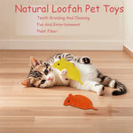 Natural Loofah Cat Toy Mouse with Catnip for Chewing and Play - GreenFur