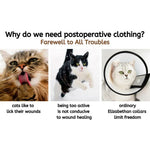New Breathable Comfortable Anti Licking Wounds Cat Recovery Suits - GreenFur