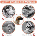 New Dog Muzzle Mesh Anti Bite and Prevents Eating for Dogs - GreenFur