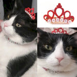 New Pet Hair Accessory Headband for Small Yorkies - GreenFur