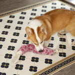 New Pet Toys New Design Chew Rope Crinkle Fluff Tail Plush Dog Toy - GreenFur