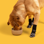 Non - Slip Dog Socks for Hardwood Floors Waterproof Dog Booties Paw Protector - GreenFur
