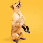Non - Slip Dog Socks for Hardwood Floors Waterproof Dog Booties Paw Protector - GreenFur
