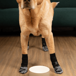 Non - Slip Dog Socks for Hardwood Floors Waterproof Dog Booties Paw Protector - GreenFur
