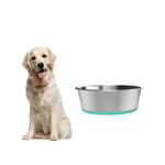 Nonslip Silicone Base Stainless Steel Dog Bowls - GreenFur