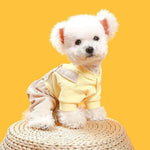 One Piece Outfits for Dogs with Bear Design - GreenFur
