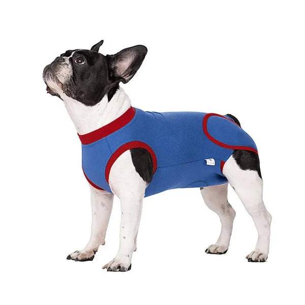 Open - Crotch Design High - Stretch Breathable Fabric Blue Dog Recovery Suit - GreenFur