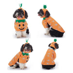 Orange Pumpkin Halloween Dog Costume Funny Pet Outfit - GreenFur