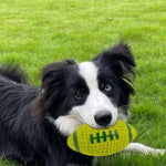 Orange Squeaky Latex Rugby Ball Dog Fetch Toy - GreenFur