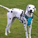 Outdoor Adjustable Cozy Breathable Mesh Pet Dog Harness - GreenFur