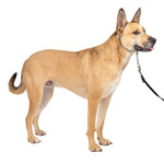 Outdoor Adjustable Strape Dog Muzzle - GreenFur