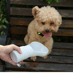 Outdoor Foldable Easy - cleaning Dog Water Bottle - GreenFur