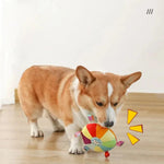 Outdoor Interactive Pet Flying Disc Toy with Bell - GreenFur