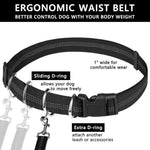 Outdoor Sports Reflective Dog Leash with Bag - GreenFur