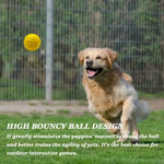 Outdoor Training Floating Bouncy Dog Toy Fetch Ball - GreenFur