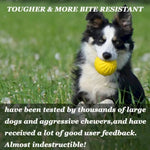 Outdoor Training Floating Bouncy Dog Toy Fetch Ball - GreenFur