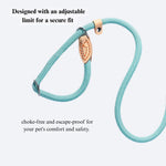 Outdoor Trendy Cartoon Dog P - Leash - GreenFur