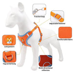 Outdoor Walking Adjustable Vest Dog Harness Leash Set - GreenFur